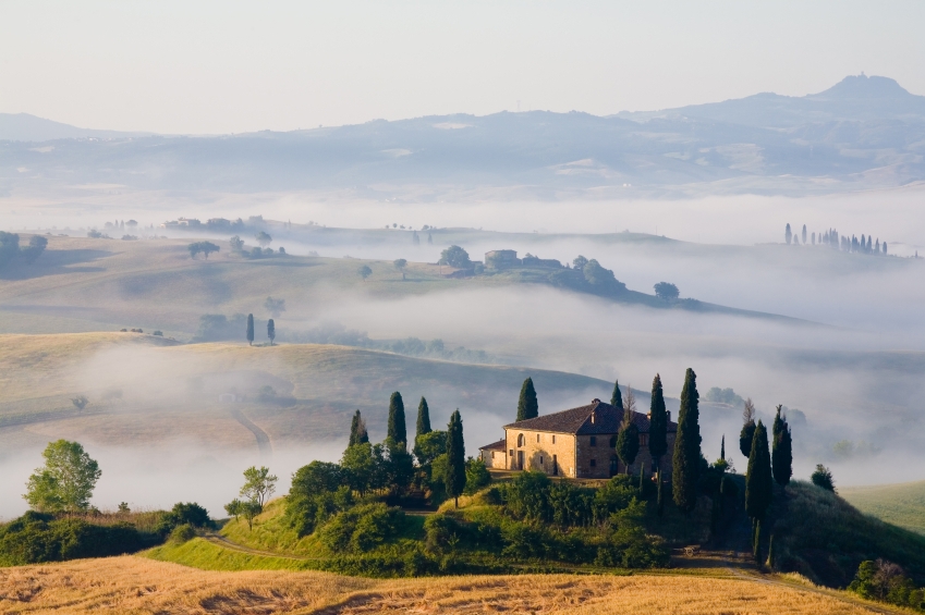  - Tuscany to Travel | Driver 